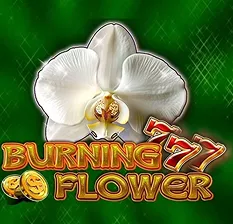 Burning Flower
